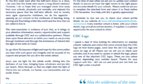 CISC Newsletter November 2020