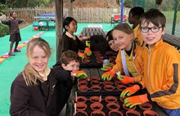 Planting-2