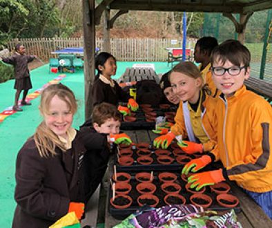 Planting-2