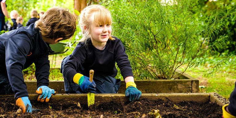 St Johns Profile 4 768x384