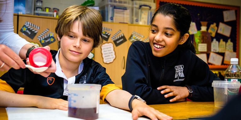 St Johns Profile 7 768x384